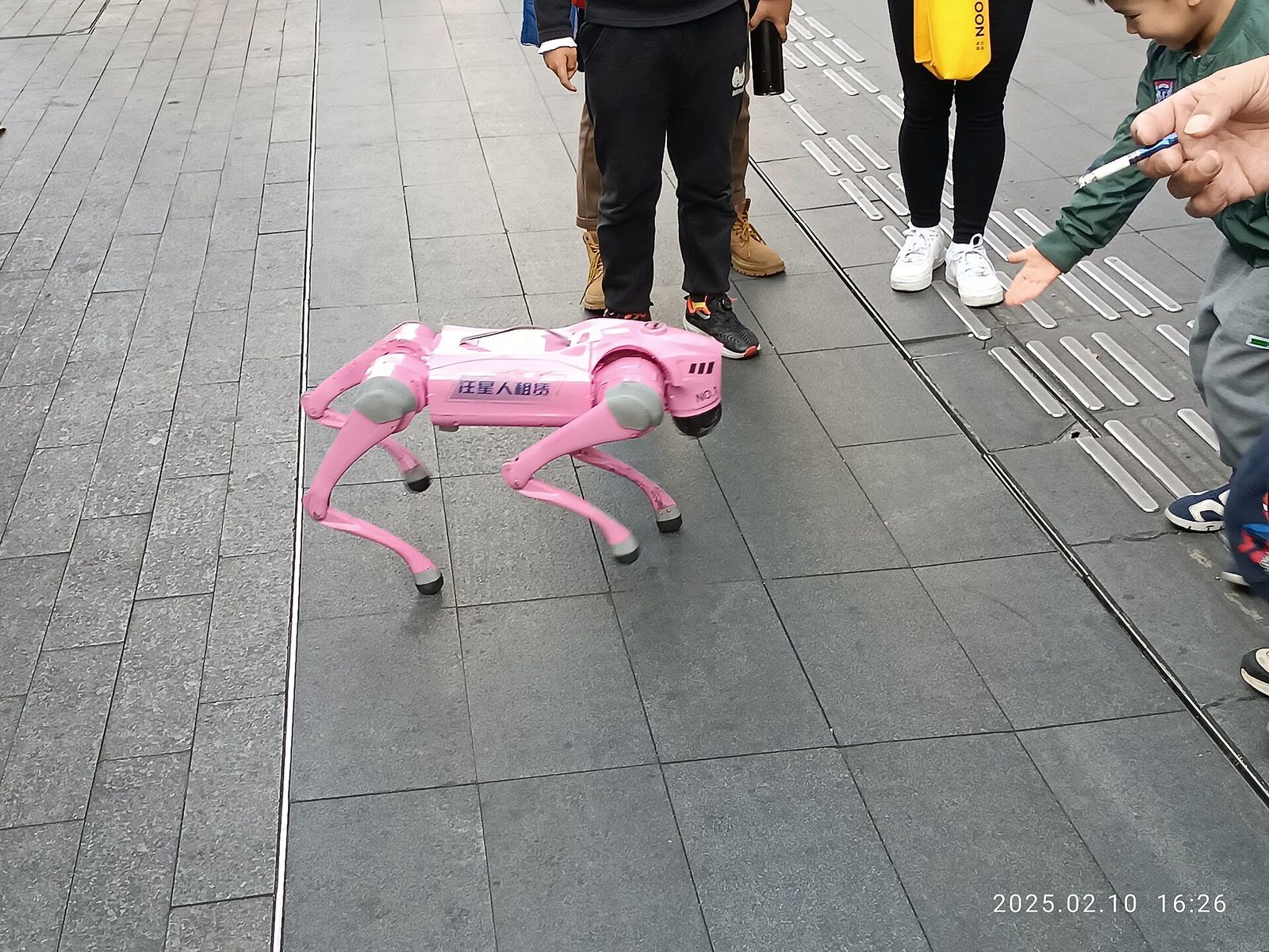 Chó robot của một cửa hàng cho thuê robot biểu diễn trên phố Hoa Cường Bắc, Thâm Quyến