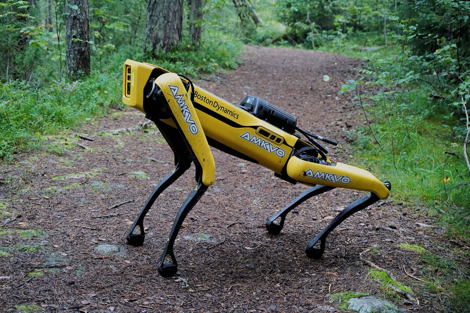 Ảnh chụp Boston Dynamics Spot