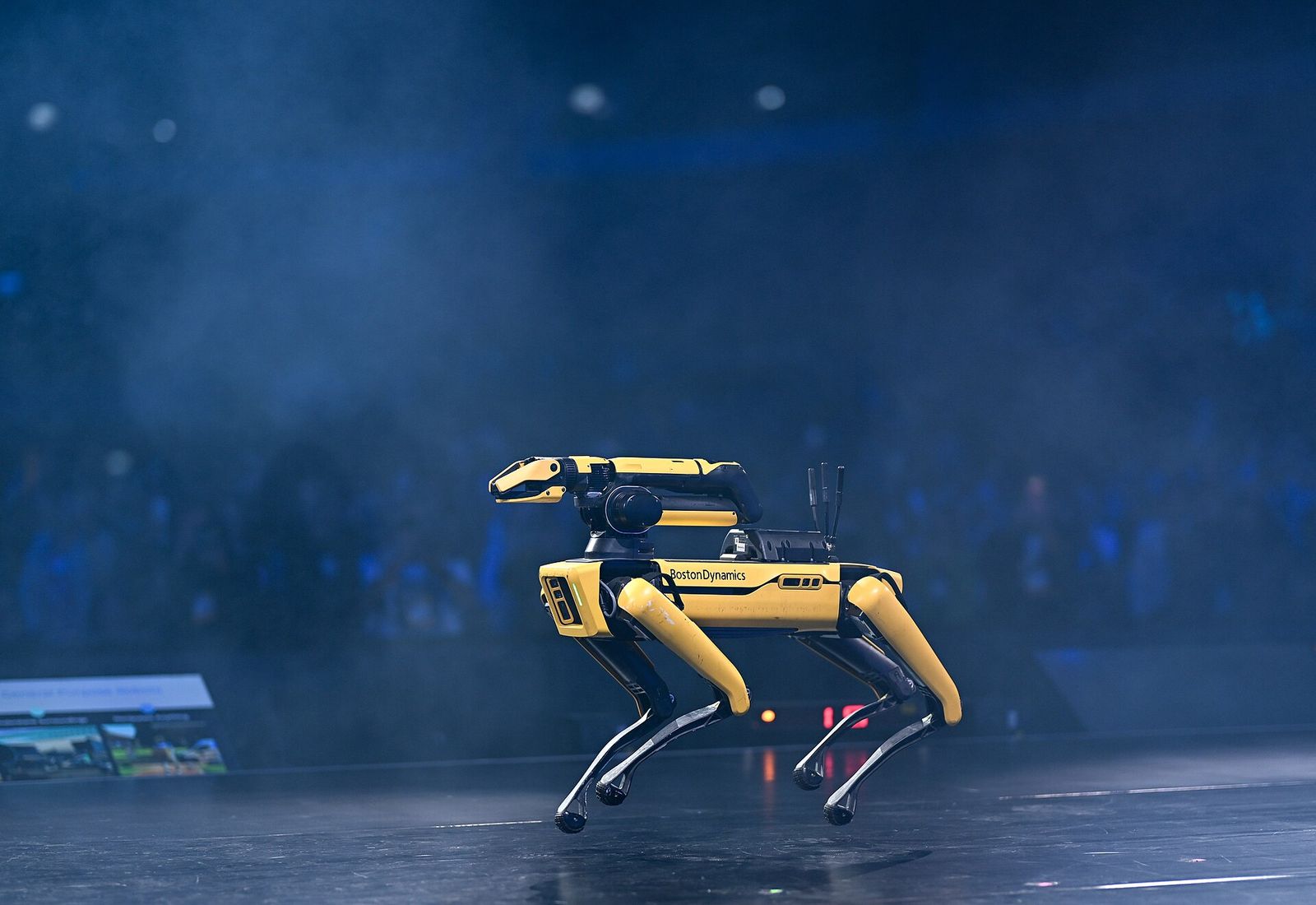 Chó robot biểu diễn trên sân khấu lớn với ánh sáng xanh