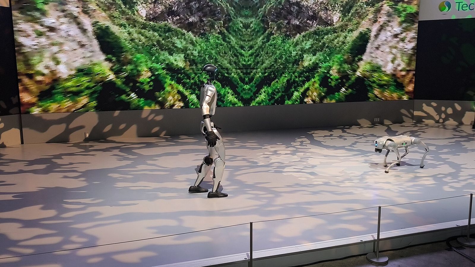 Robot hình người và chó robot trên sân khấu sự kiện