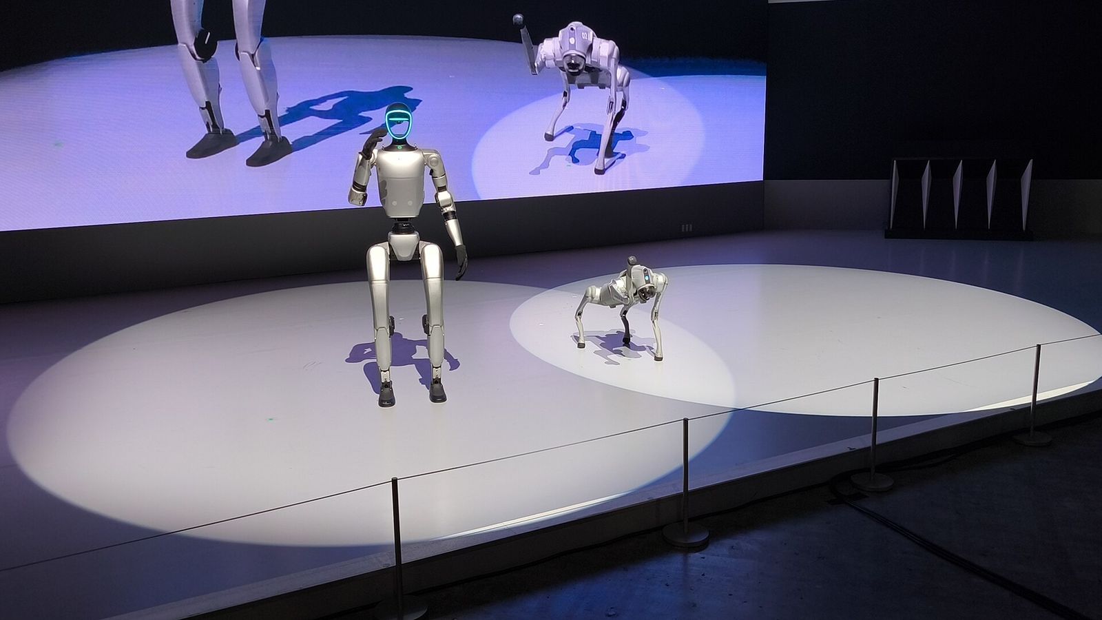Robot hình người và chó robot trên sân khấu sự kiện
