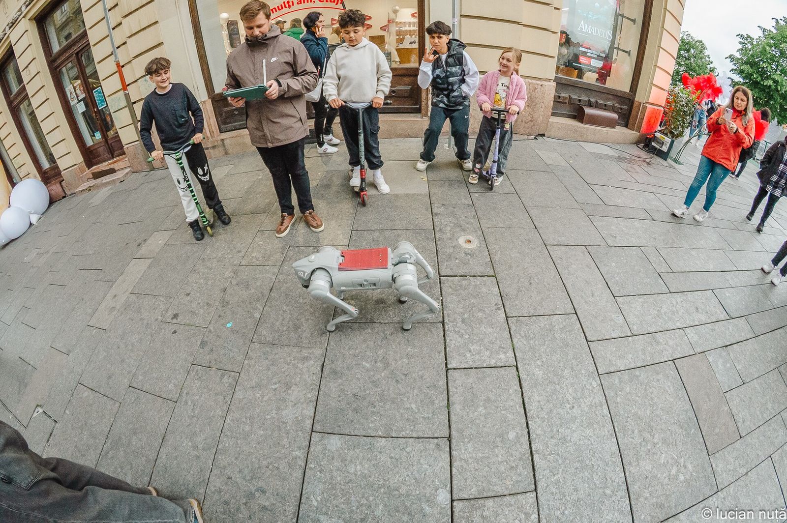 Chó robot Unitree Go2 giữa đoàn diễu hành lễ hội